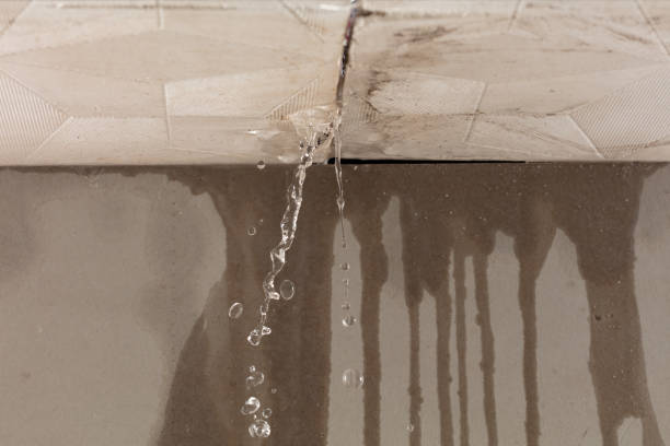 Professional Water Extraction technician working in Trenton, MI